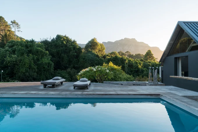 Future Found Sanctuary in Cape Town